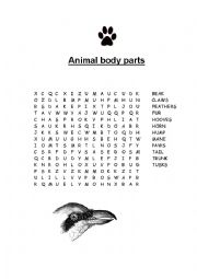 English Worksheet: Animal body parts