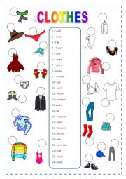 Clothes Vocabulary Worksheet