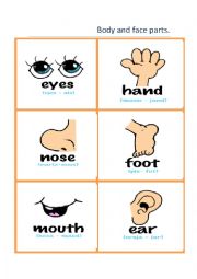 English Worksheet: Body and face parts