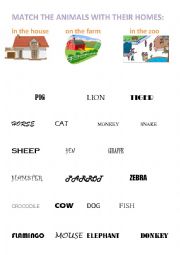 Match the animals with their homes