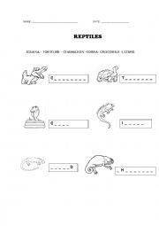 English Worksheet: Reptiles