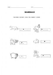 Mammals