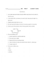 English Worksheet: Grade 4 Plants Review