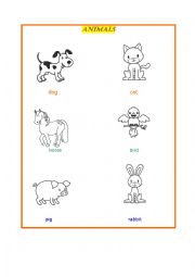 English Worksheet: Animals-exercises-can, has got, colours