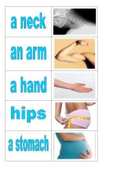 English Worksheet: Body parts - cards 1 of 5