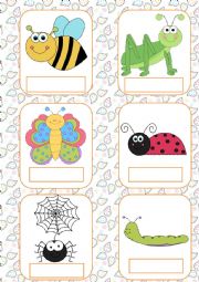 English Worksheet: Insects flashcards