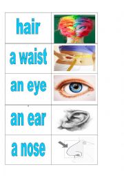 English Worksheet: Body parts - cards 4 of 5