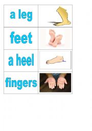 English Worksheet: Body parts - cards 5 of 5