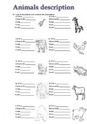 Animals description
