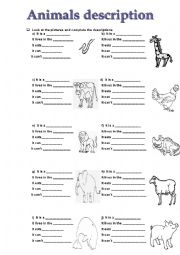 English Worksheet: Animals description