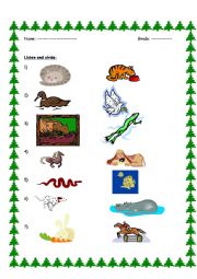 English Worksheet: Animal Actions (Listening)