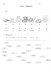 English Worksheet: Pets, Numbers