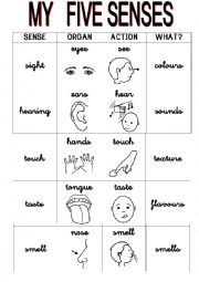 English Worksheet: Five senses posters