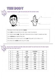 English Worksheet: Practising the vocabulary of BODY PARTS