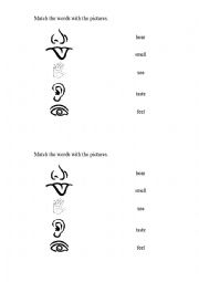 English Worksheet: Senses