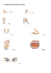 English Worksheet: body parts