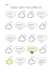 English Worksheet: Numbers 11 -20