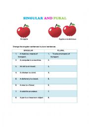 English Worksheet: Singular and plural 