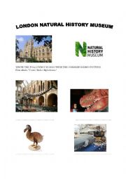 English Worksheet: A visit at the London natural history museum