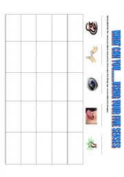 English Worksheet: What Can You Do.. Using Your Senses