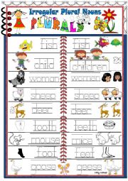 English Worksheet:  Pictorial dictionary- Irregular  Plural  Nouns