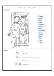 English Worksheet: Body parts