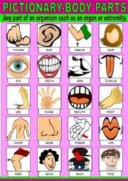 English Worksheet: Body Parts Pictionary