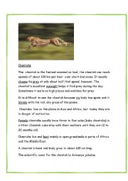 English Worksheet: Reading comprehension. Cheetahs.