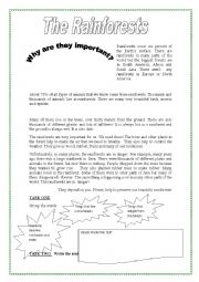 English Worksheet: why are rainforests important?