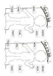 English Worksheet: Parts of The Body