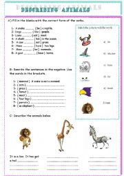 English Worksheet: describing animals