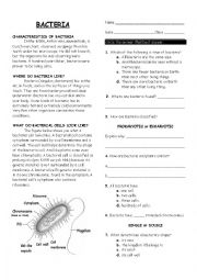 English Worksheet: Characterisitics of Bactria