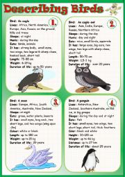 English Worksheet: Describing Birds