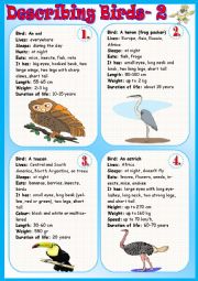 English Worksheet: Describing Birds 2