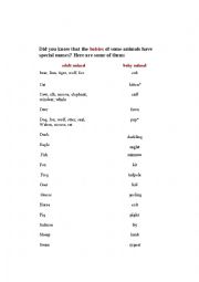 English Worksheet: Baby Animals