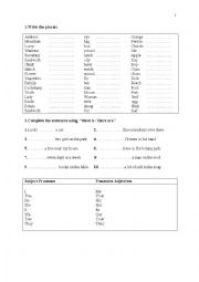 English Worksheet: plural forms of words