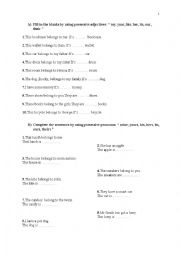 English Worksheet: possessive adjectives and possessive pronouns