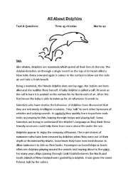 English Worksheet: Dolphins