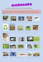 English Worksheet: names of animals with pictures