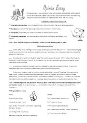 Opinion Essay introduction