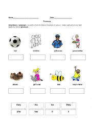 English Worksheet: Pronoun Worksheet