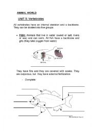 English Worksheet: vertebrates