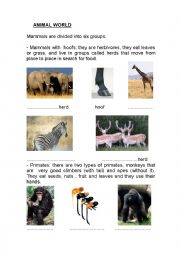 types of animals