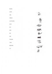 English Worksheet: Matching 
