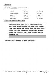 English Worksheet: Antonyms