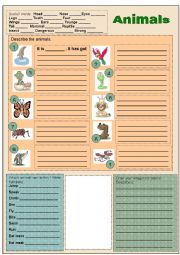 English Worksheet: Animals: looks and abilities