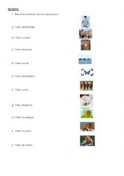 English Worksheet: animals