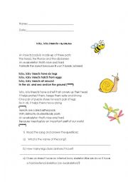 English Worksheet: Insects