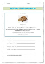 English Worksheet: DOG MISSING