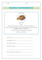 English Worksheet: DOG MISSING